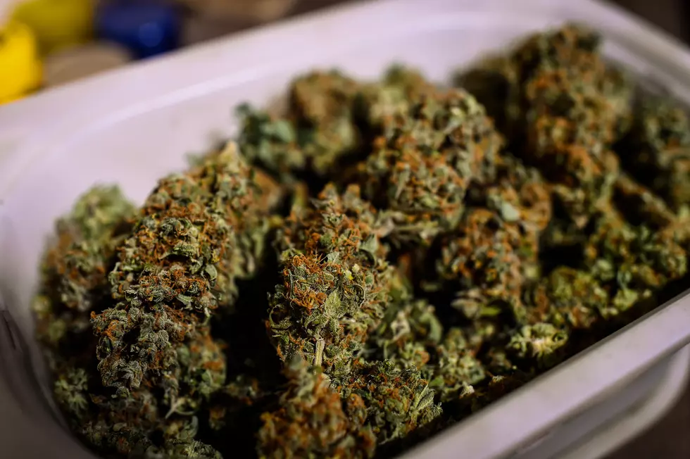 Maine on Track for Legal Marijuana Sales by Spring 2020