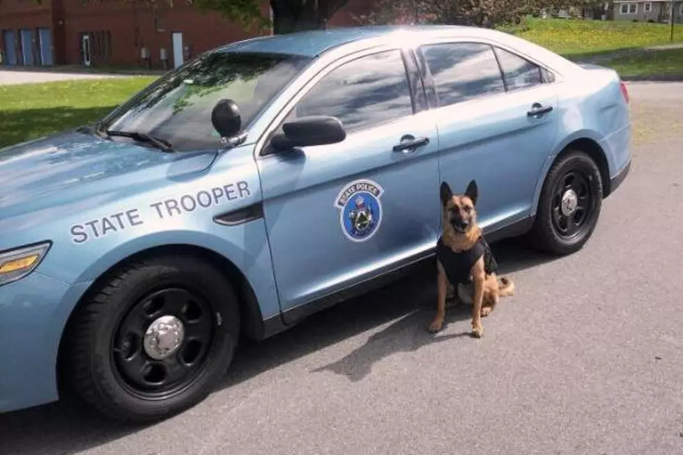 Maine State Police Briefs From Troop F – June 2022