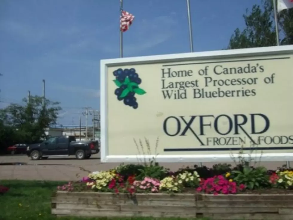 World’s Most State of the Art Blueberry Factory Opens in New Brunswick