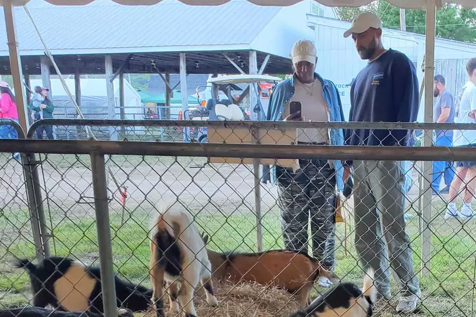 Was That A ‘Greys Anatomy’ Star Spotted Petting Goats At The Blue Hill Fair?