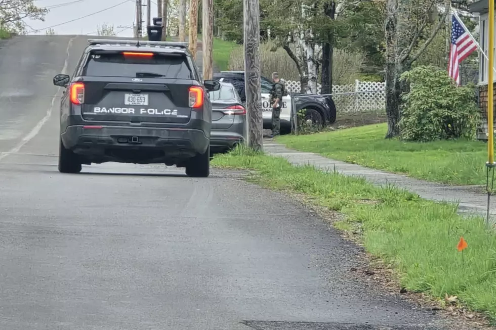 Bradford Homeless Camp Organizer One Of 2 Arrested In Bangor Drug Bust